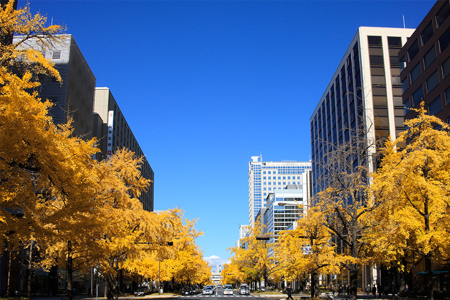 Mido-Suji Avenue Image