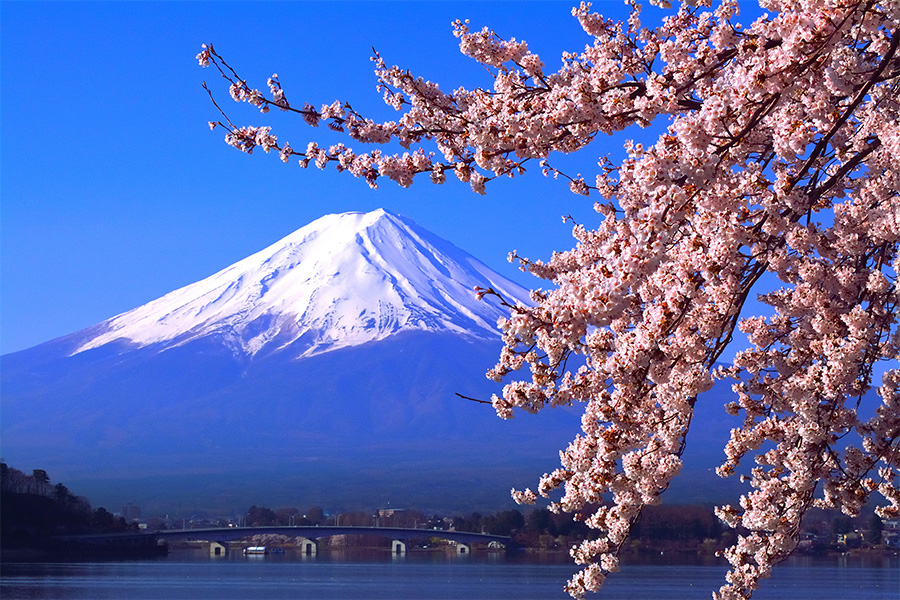 Lake Kawaguchiko Image