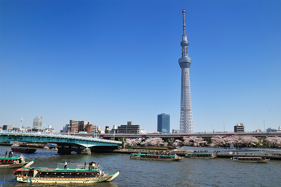 Sky tree Image