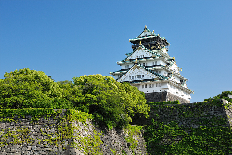 Osaka Castle Image
