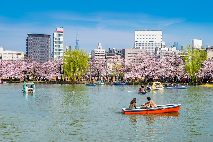 Ueno Park Tokyo Ciel Tourist