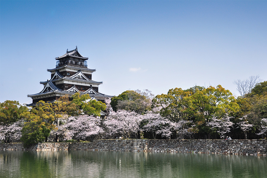 Hiroshima Castle Image